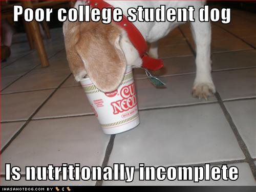 poor college student