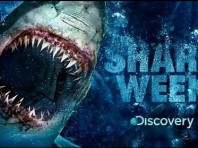 shark-week-discovery-channel